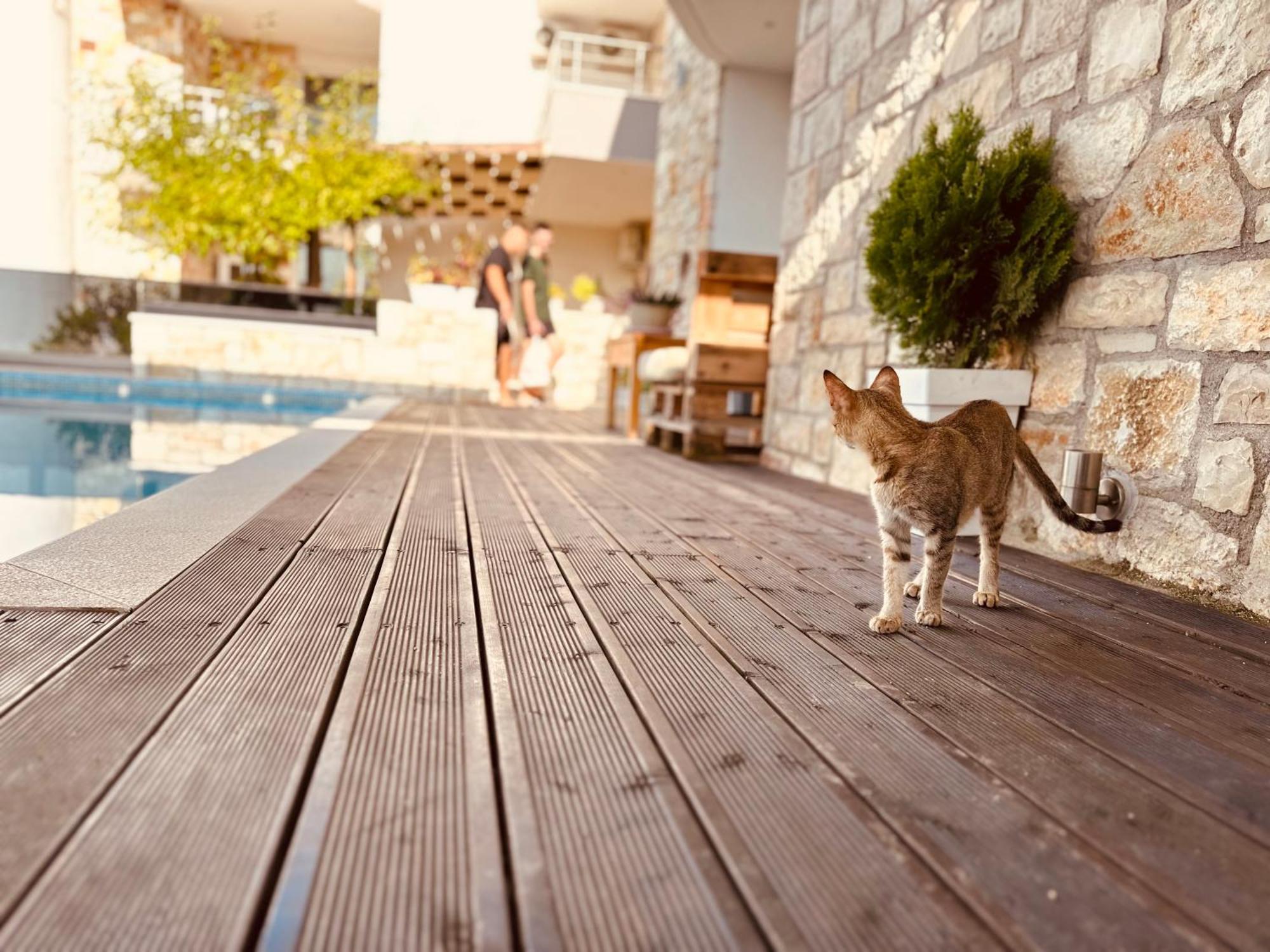 Villa Merkuri هيماري المظهر الخارجي الصورة